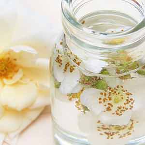 Photo of a little jar full of facial oil with white flowers inside. Click on the image for more information about the best oil to use based on your skin type. 